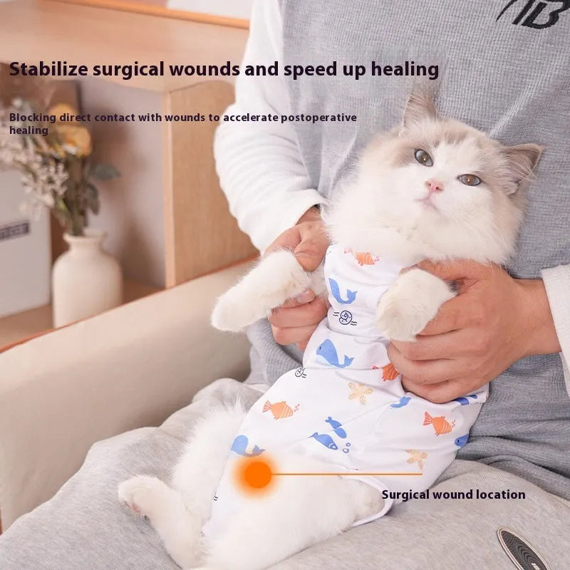 Cat wearing sterilisation suit with velcro fastening after surgery