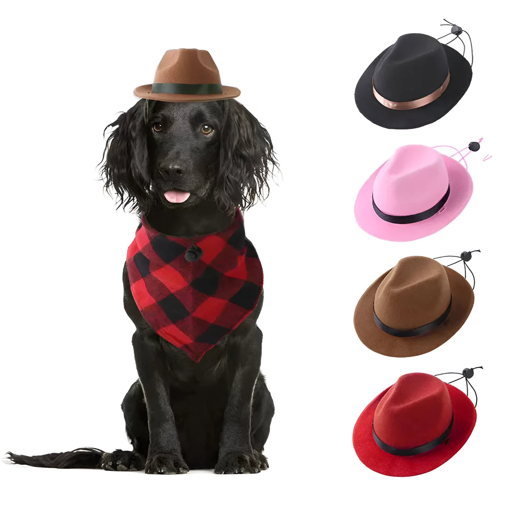 Handmade wool felt hat for small pets in black, brown, pink, or red with a 155cm diameter.