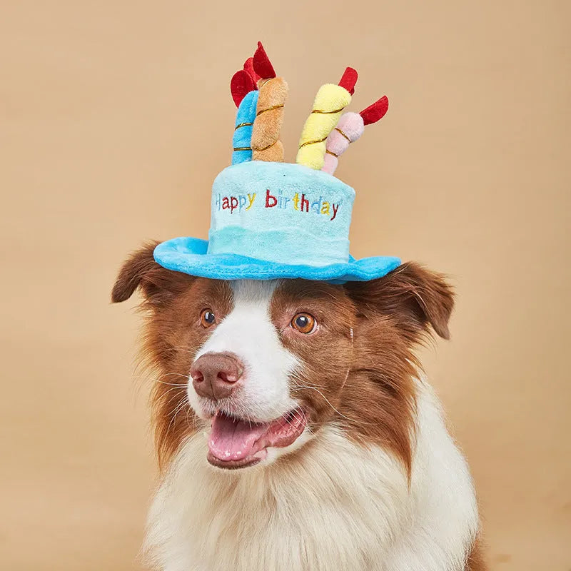 Blue or pink birthday party hat for a small to medium-sized dog.