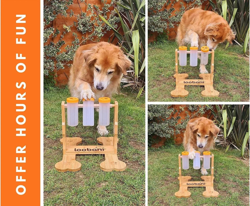 Wooden dog puzzle toy interactive snack dispenser feeder measuring 31x30x20cm