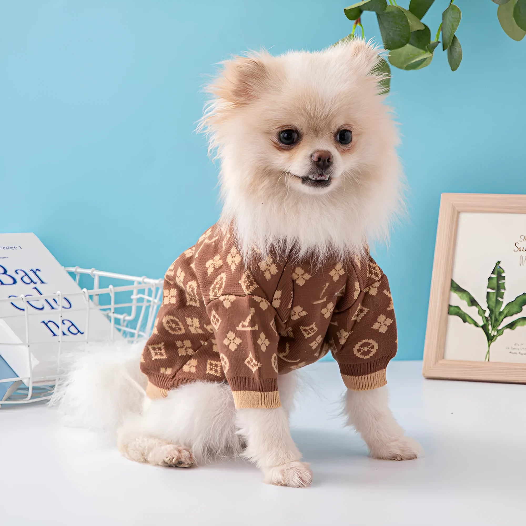 Wool dog sweater for autumn winter wear in European American style available multiple sizes