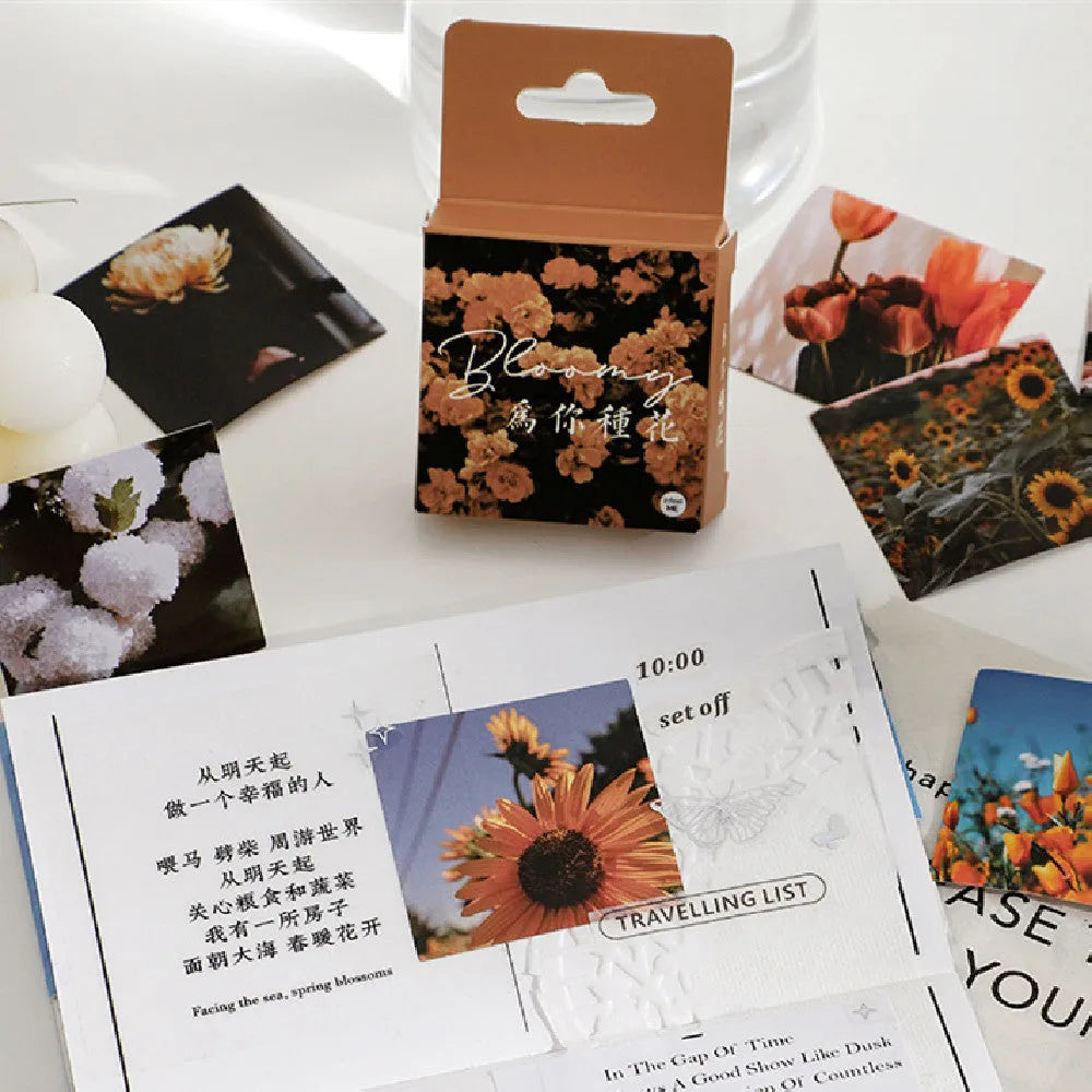 Box of Nordic style decorative stickers showing six colour variants with 44x44mm square size and non-drying adhesive