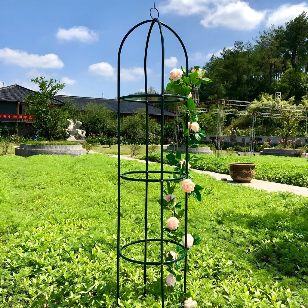 Dark green wrought iron plant climbing frame with lattice design measuring 188cm tall