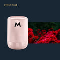 Solid car aromatherapy decoration cup measuring 10x6cm with four fragrance options