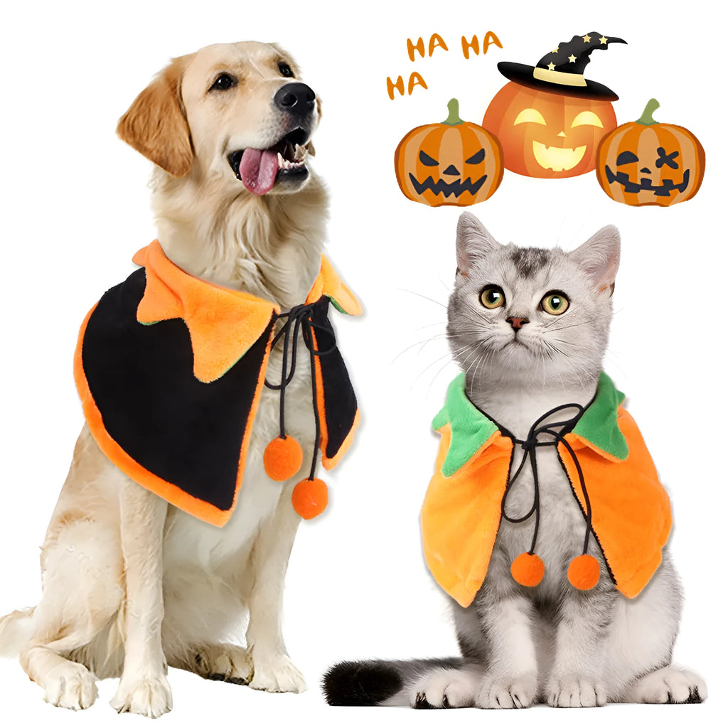 Halloween pumpkin reversible pet cloak with matching hat on dog