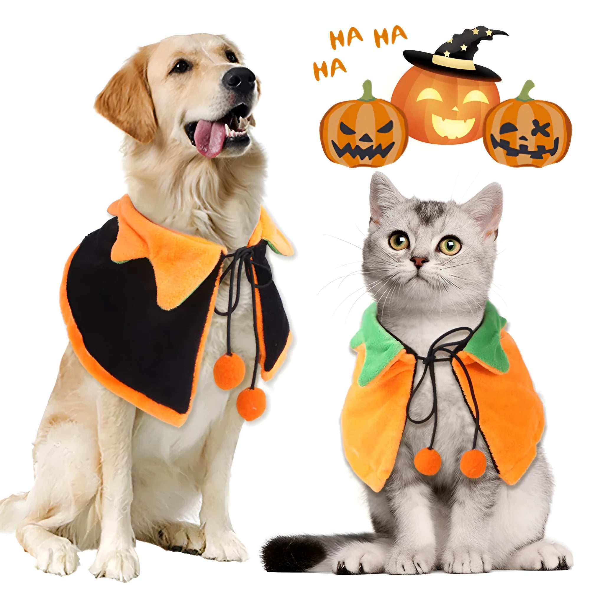 Halloween pumpkin reversible pet cloak with matching hat on dog