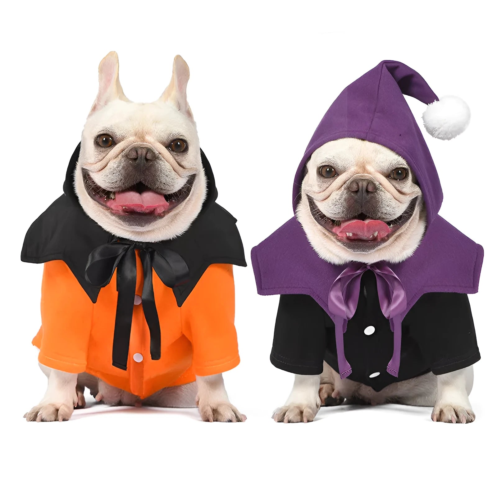 Black and orange pumpkin themed two-piece dog costume with sweater and shawl