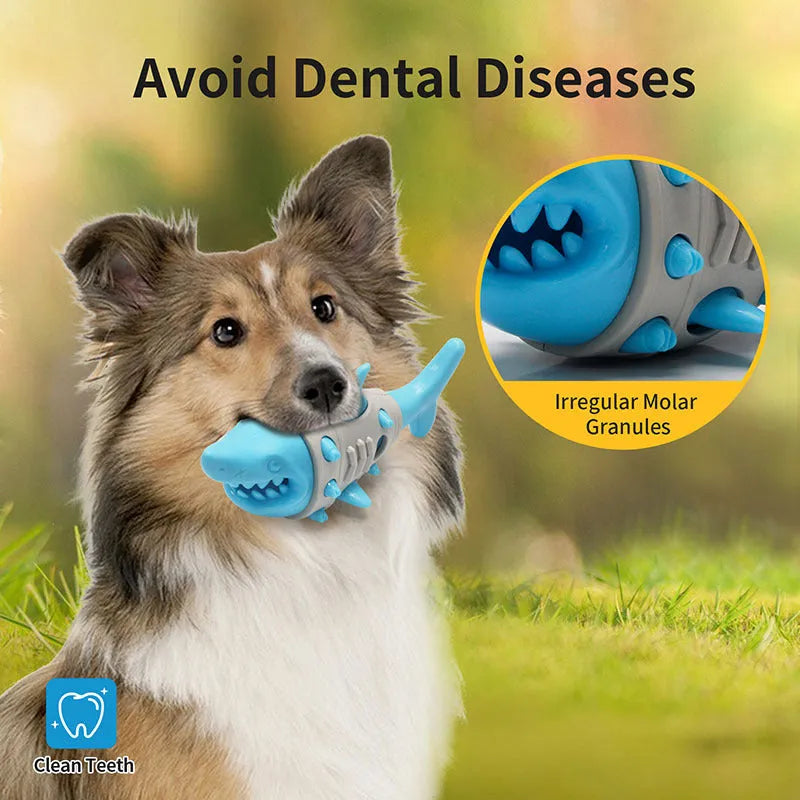 Blue durable rubber dog toy with shark-tooth texture for teething and dental cleaning.