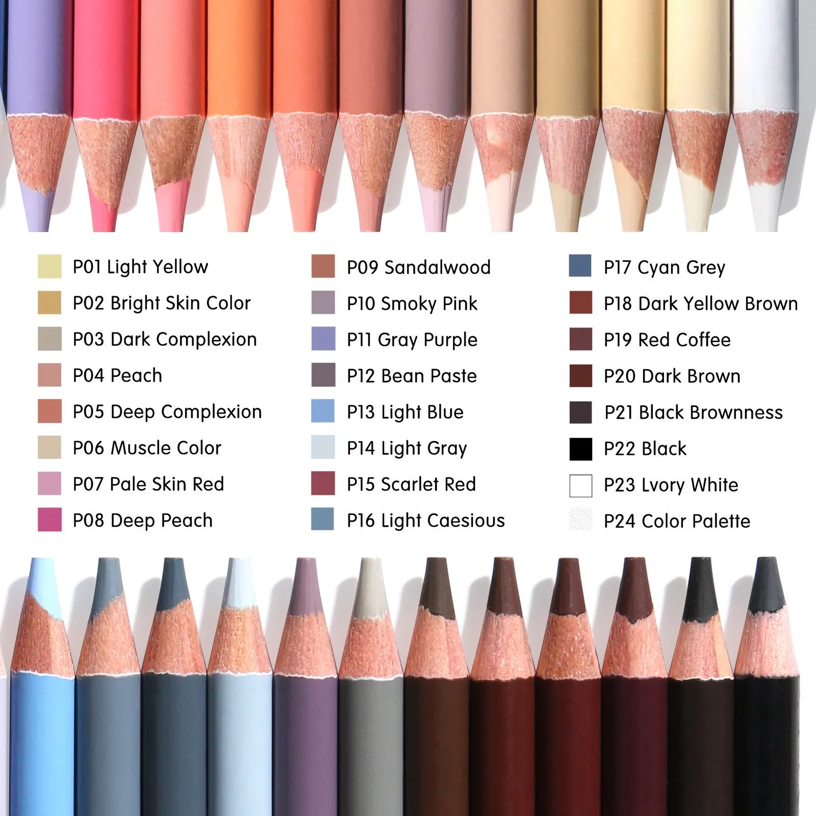 24-colour skin tone pencil set for portrait drawing in iron storage case