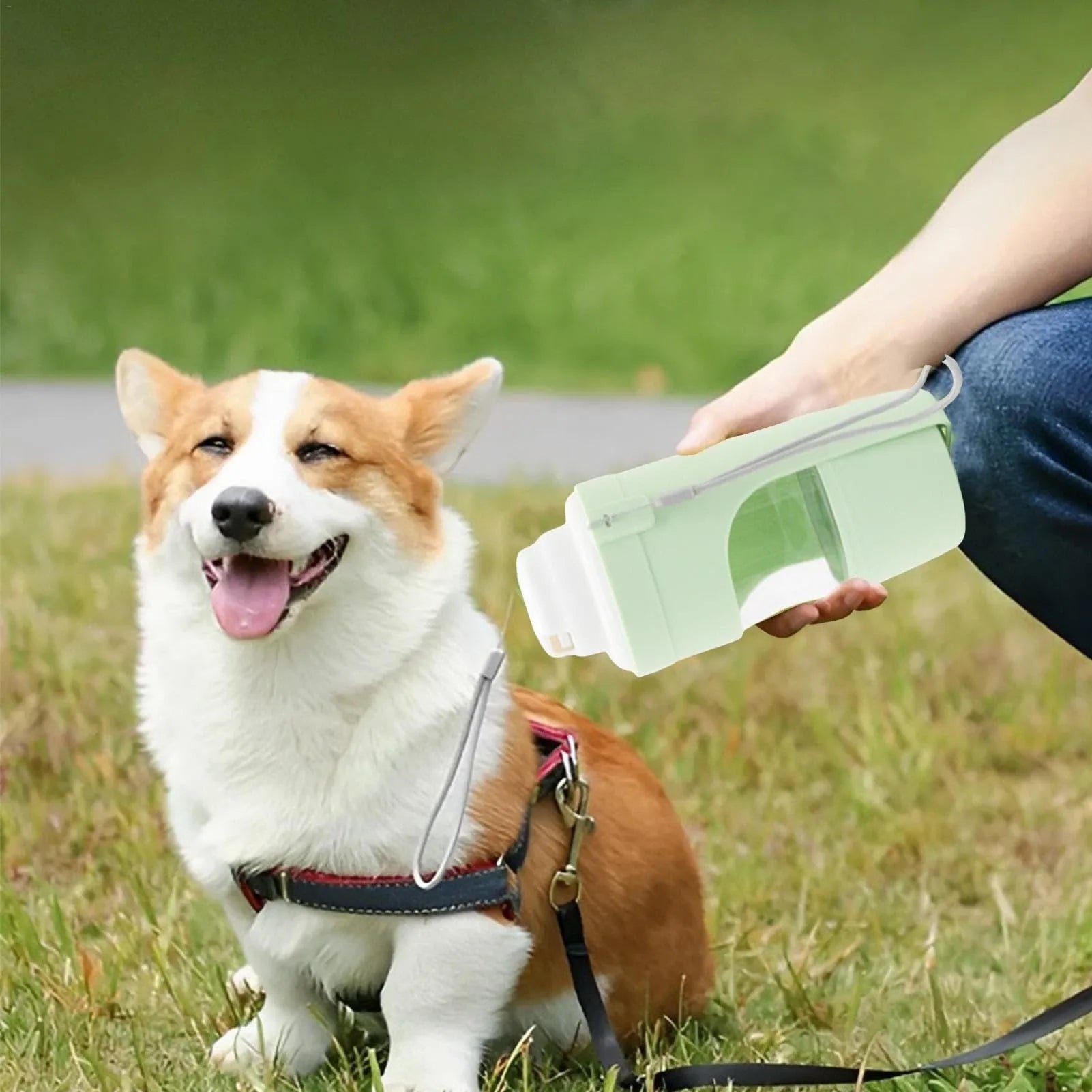 Grey foldable 2-in-1 dog water bottle and feeder with lanyard, showing food and water compartments.