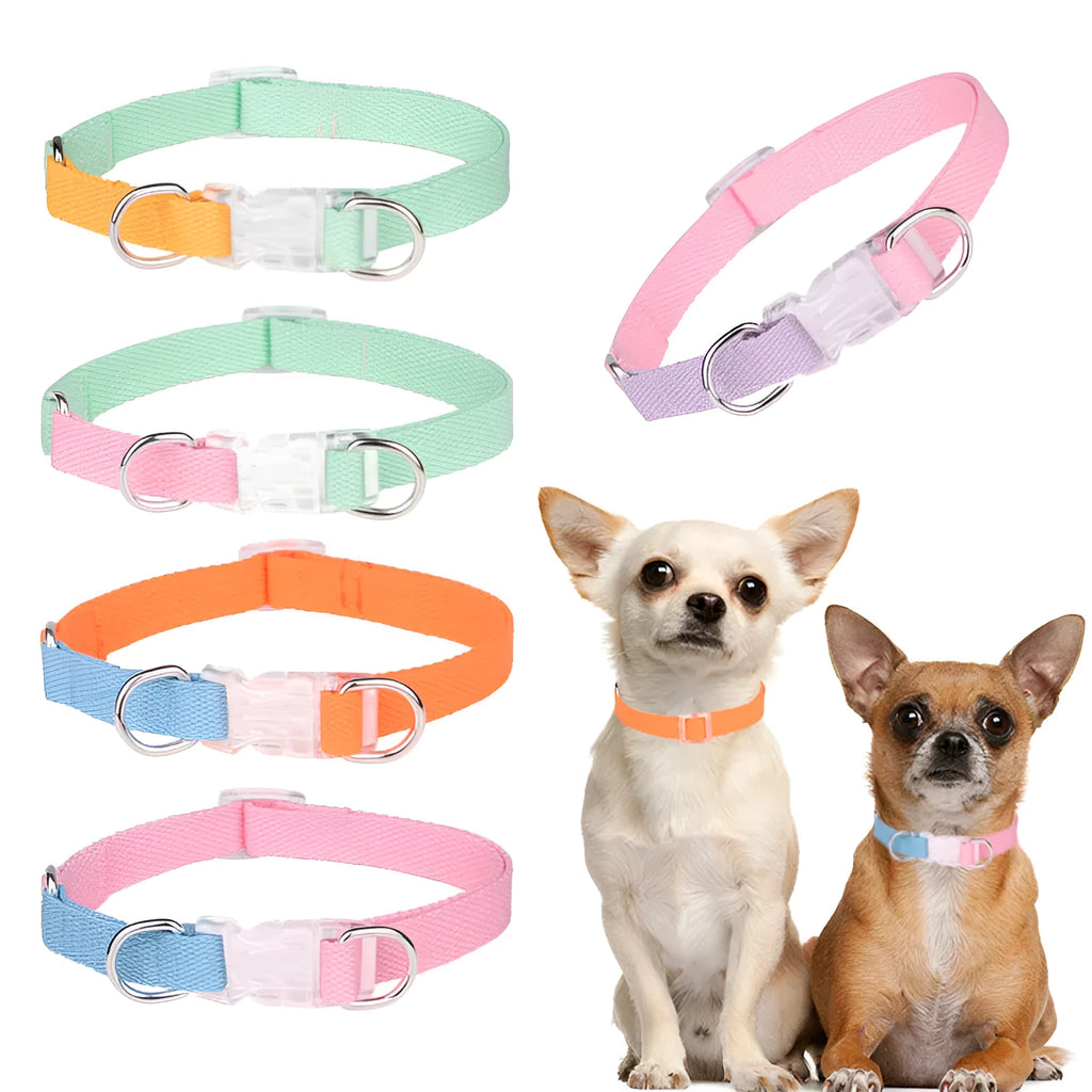 Polyester dog collar, leash, and chest strap set in assorted colours with adjustable sizing.