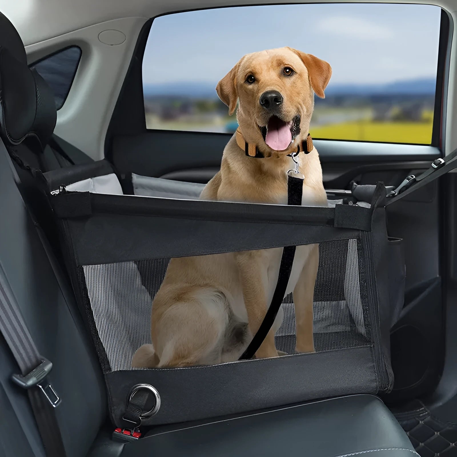 Black Oxford cloth dog travel crate 49x49x38cm collapsible car pet box