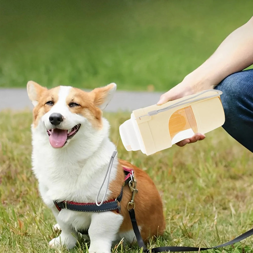 Grey foldable 2-in-1 dog water bottle and feeder with lanyard, showing food and water compartments.