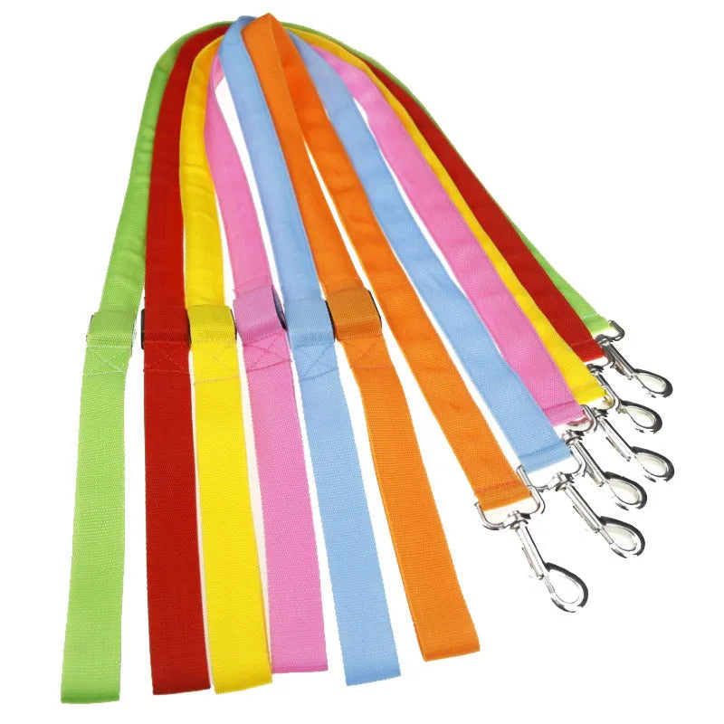 LED luminous nylon dog leash 120cm length 2.5cm width blue colour