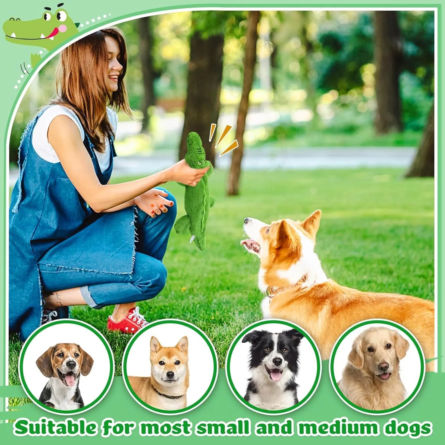 Green crocodile squeaky dog toy with no stuffing, crinkle paper tail, for aggressive chewers
