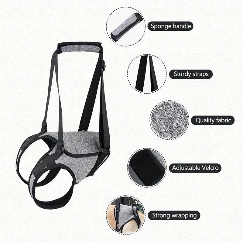 Grey neoprene dog recovery belt wrapped around a dog's waist and thigh for rear leg support.