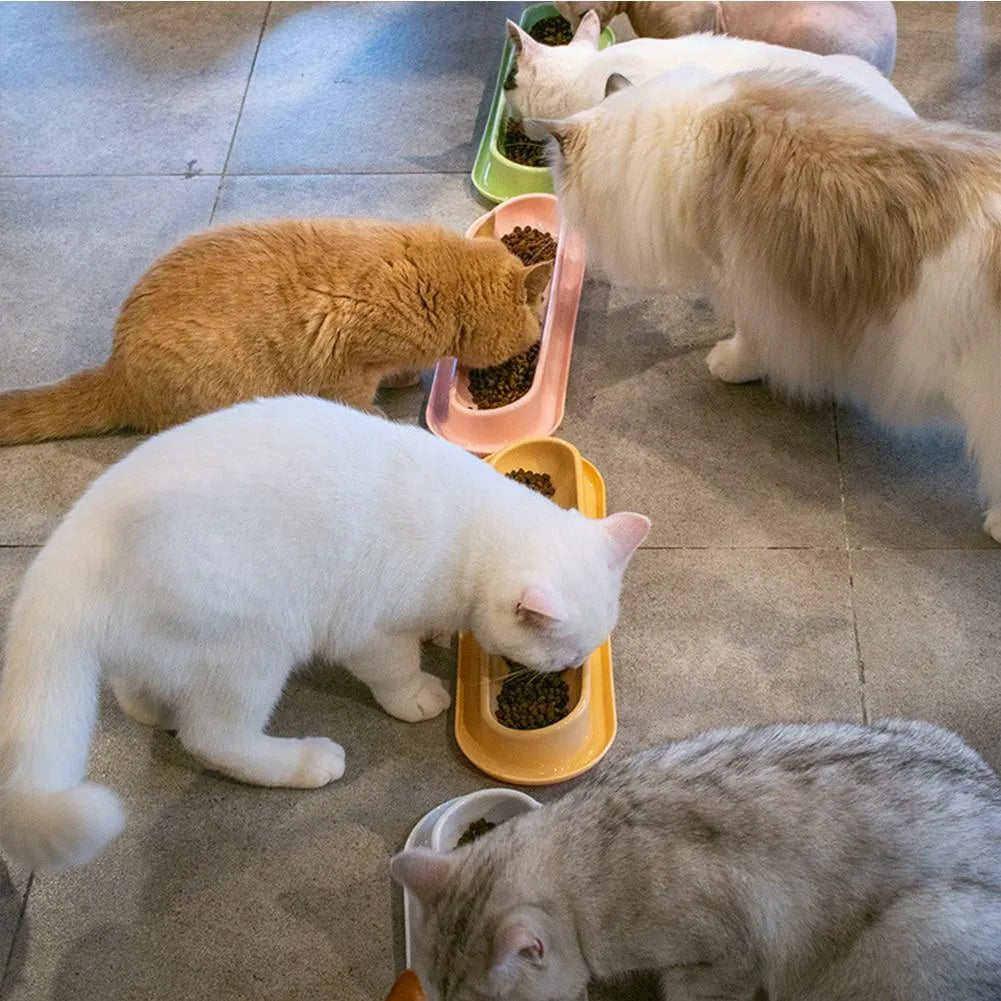 Set of four raised plastic pet bowls in green, pink and yellow colours with spill guard rims