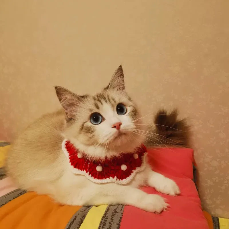 Knitted pet collar in milk cotton with cartoon pattern, showing customisable colour options and size variations
