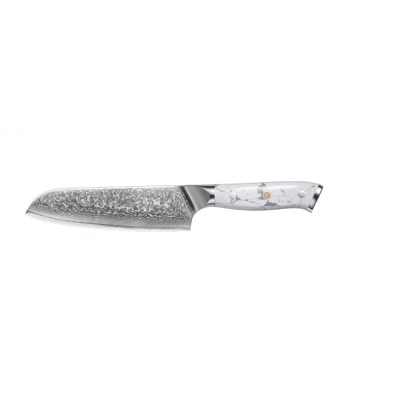 Damascus Special Household Combined Chef's Knife with 21cm VG10 steel blade and modern handle.