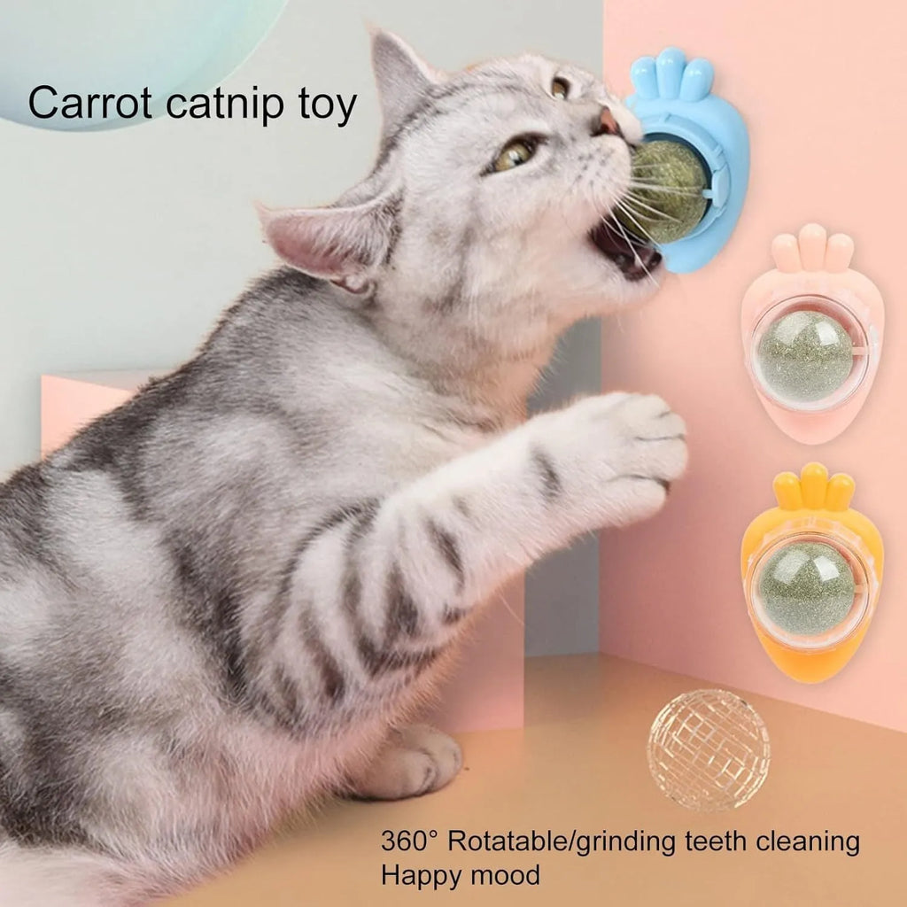 Blue carrot-shaped catnip ball toy for wall mounting and cat teeth cleaning