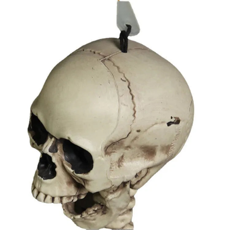 170cm tall plastic skeleton model for anatomical study and decorative props