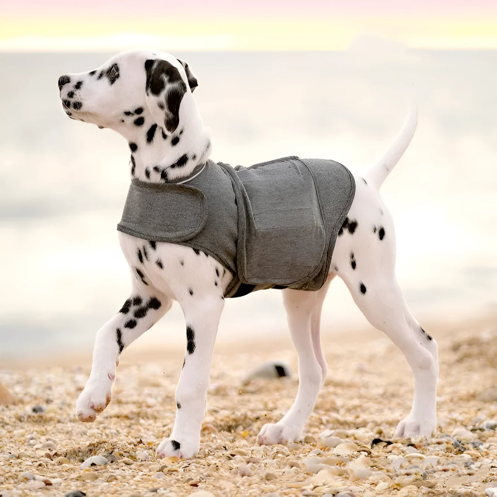 Heather grey dog anxiety jacket vest on a size chart showing seven options from XXS to XXL.