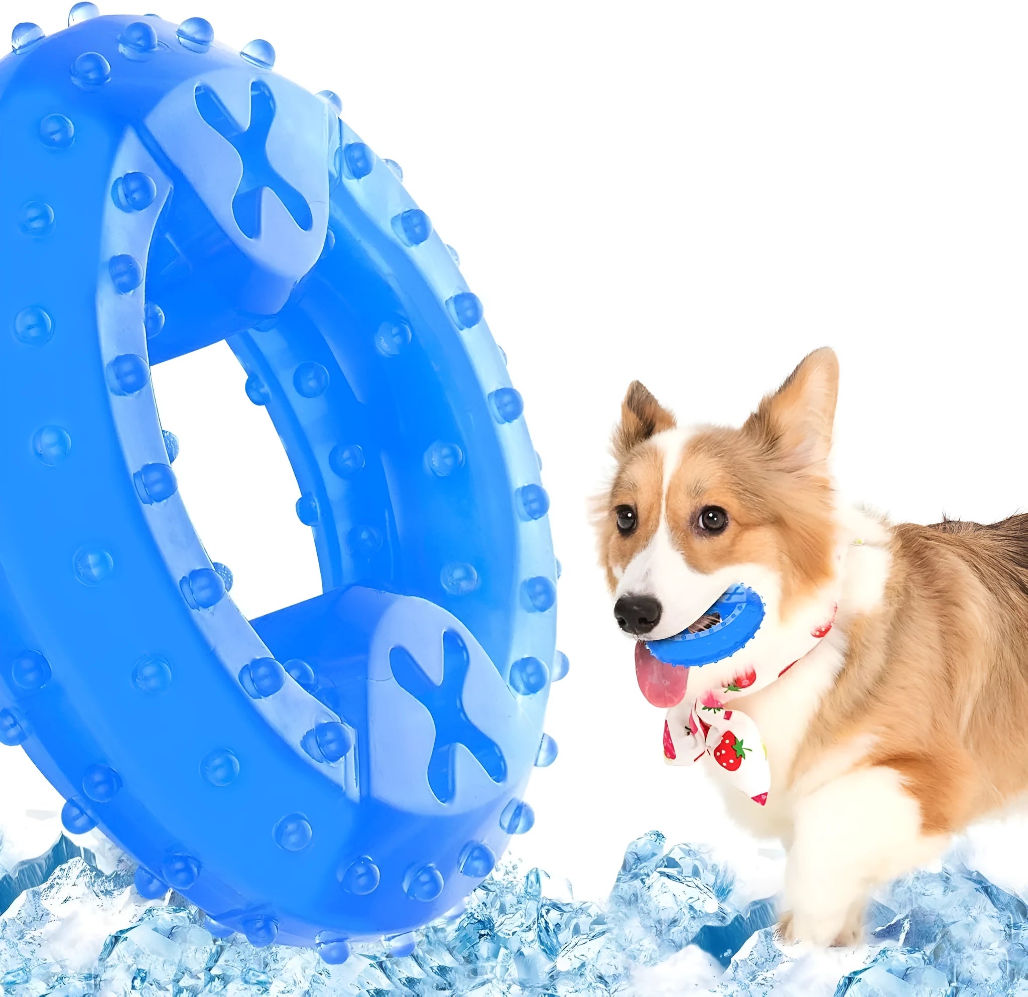 Freezable dog cooling chew toy in bone and circle shapes for teething puppies and anxiety relief.