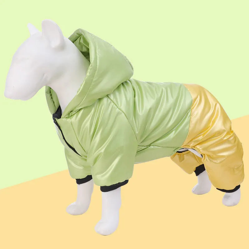 Green waterproof cotton dog coat with four-legged design on medium-sized dog