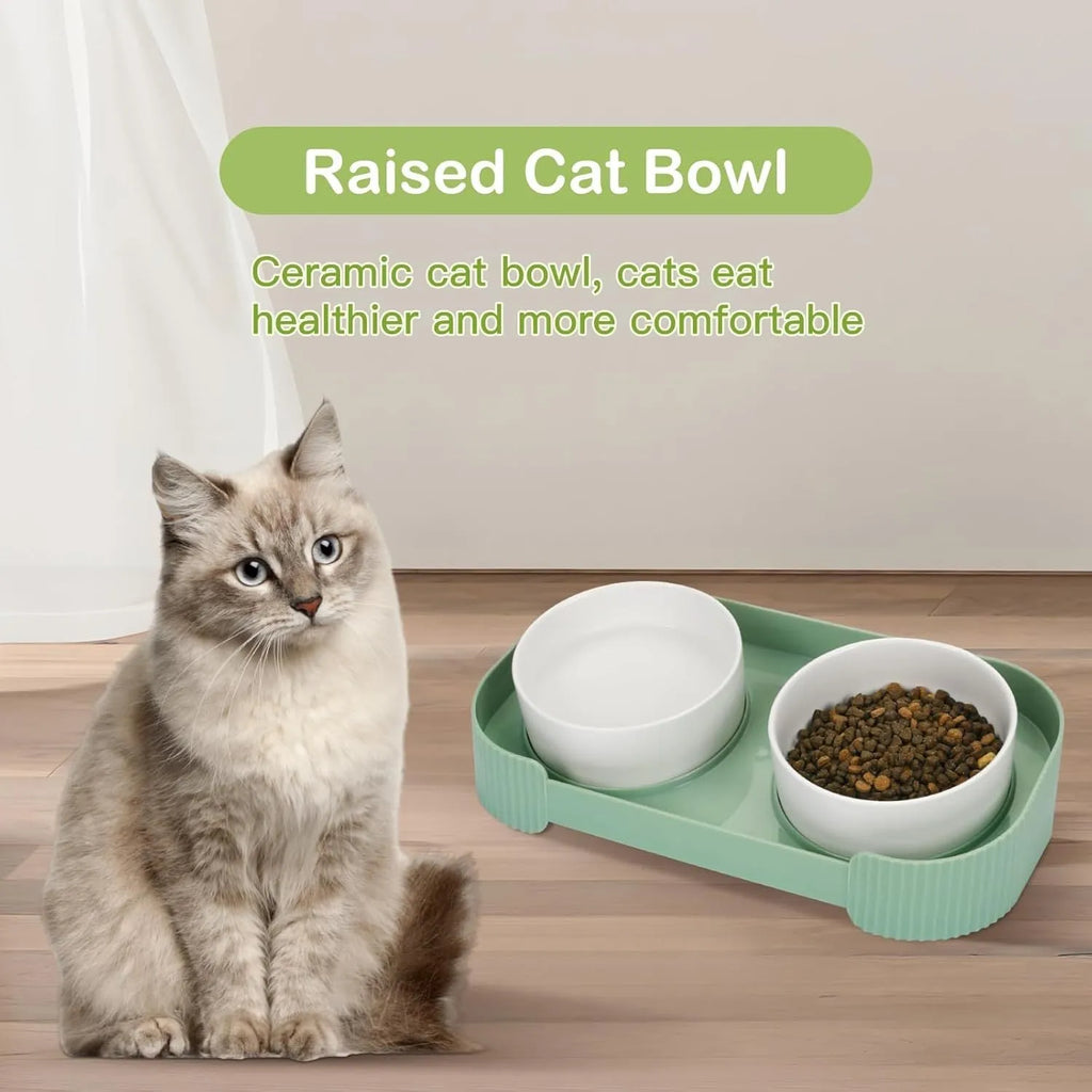 Ceramic elevated cat bowls with 15-degree tilted design in green, white, or yellow colour options