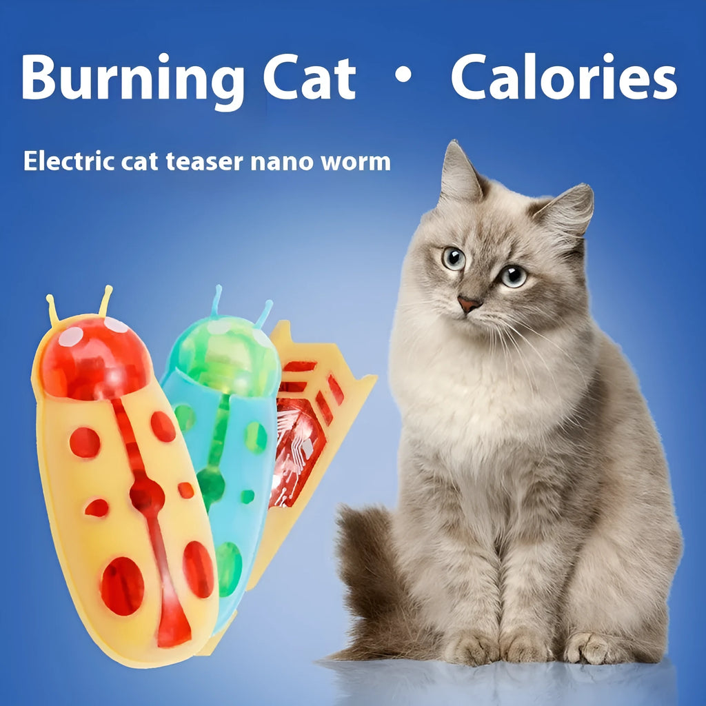 Electric cat teaser toy in Ladybug style with red and black colours, showing compact plastic design.