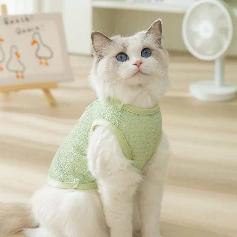 Hollowed-out cat clothing with bear patch in green, blue, or yellow colours