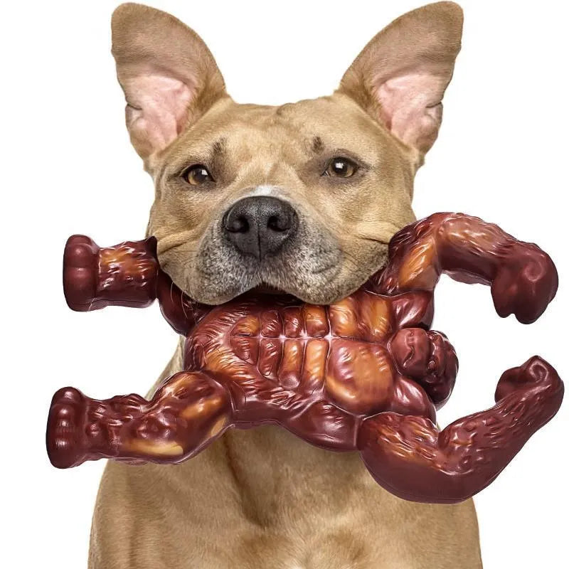 Scarlet coloured nylon dog molar chew toy with beef flavour