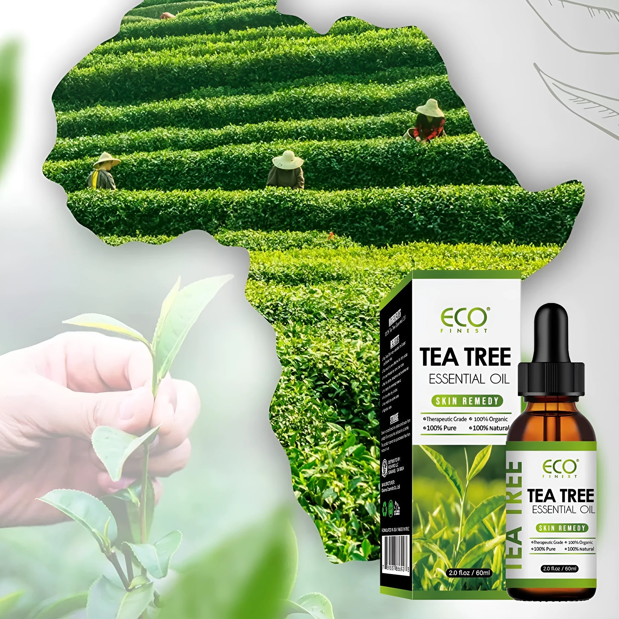 60ml tea tree essential oil bottle for acne treatment and massage