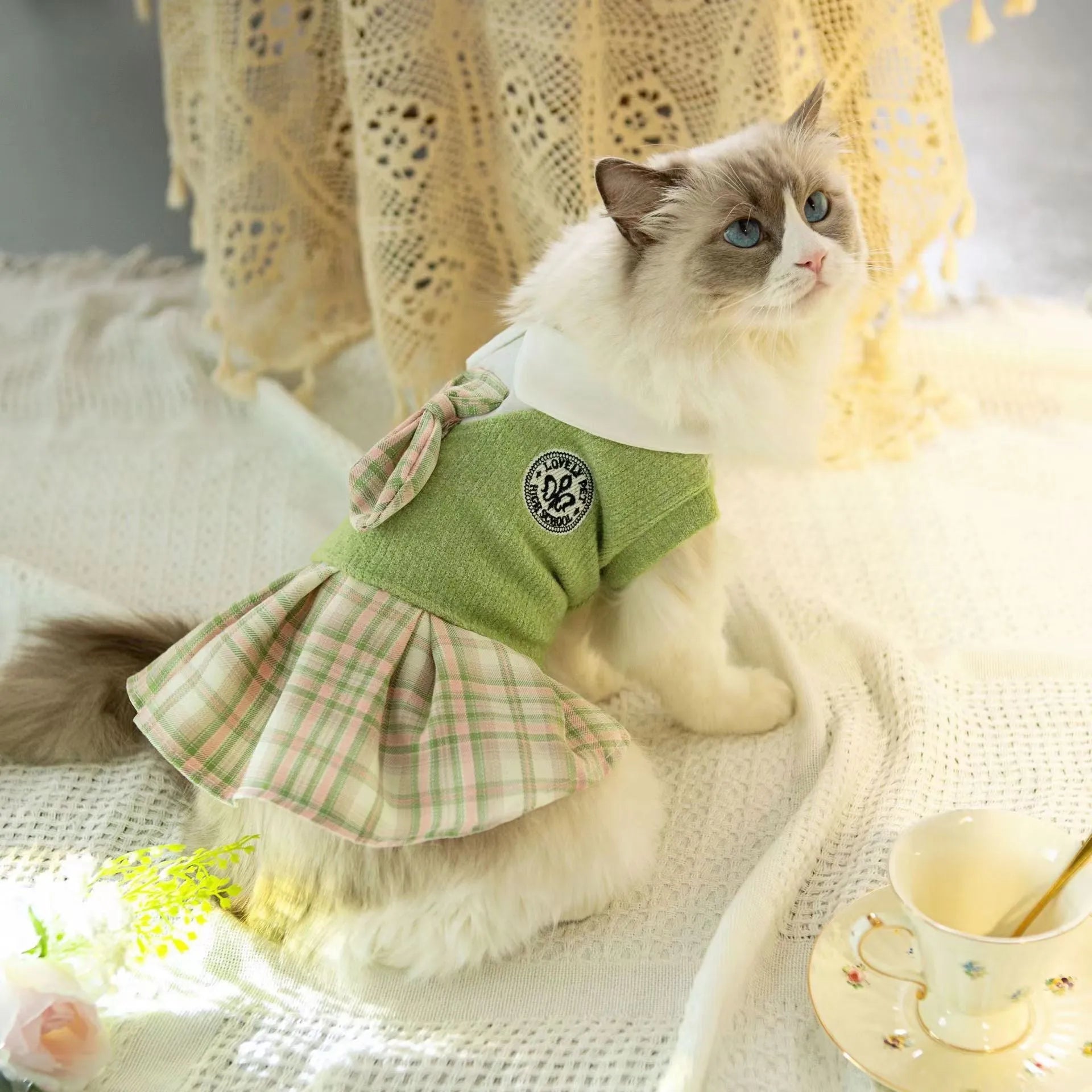 Pet dog wearing blue tartan skirt with princess style design