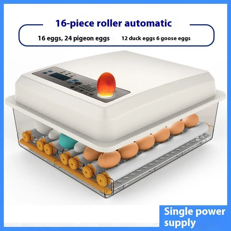 Fully automatic plastic incubator with 16 egg capacity and digital temperature control panel