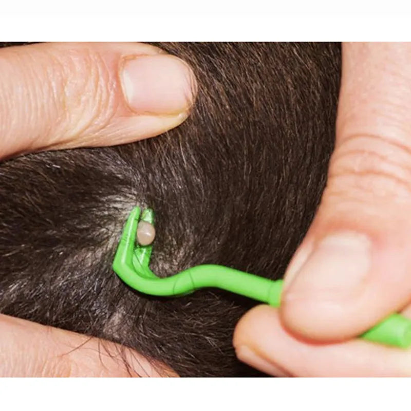 Three plastic pet tick removal tools in blue and green colours with hook design for parasite extraction