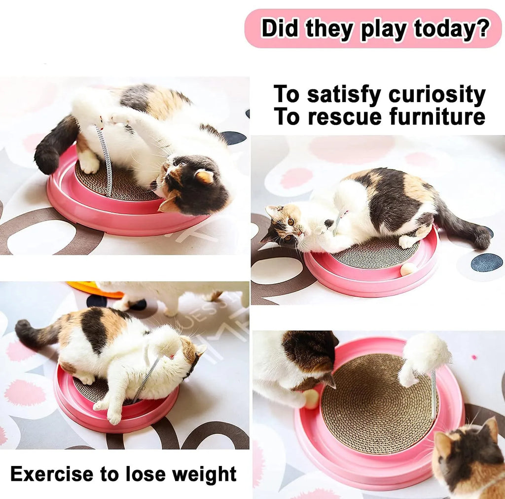 Blue cat scratcher with circular ball track and replaceable cardboard scratching surface