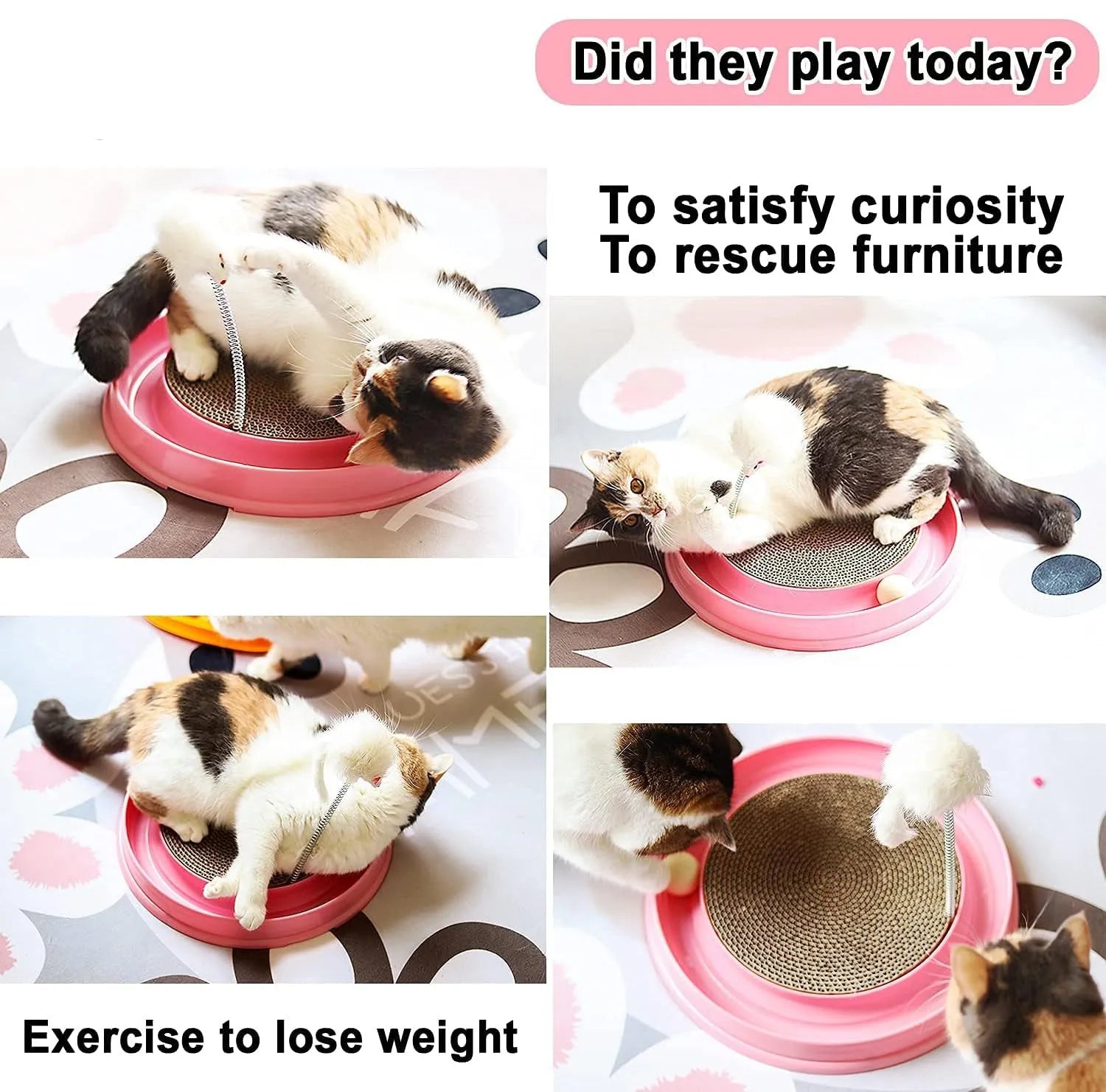Blue cat scratcher with circular ball track and replaceable cardboard scratching surface