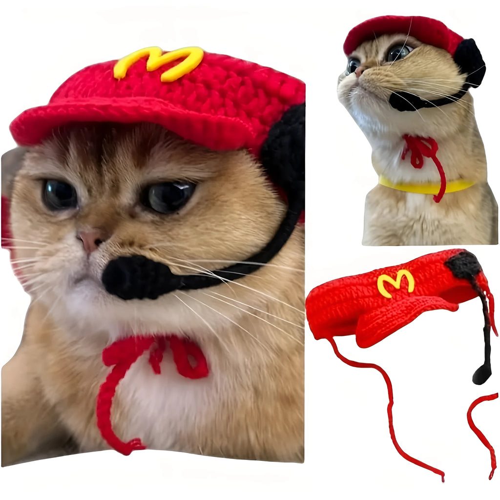 Handmade chef hat and cotton knitted sweater costume on a small cat