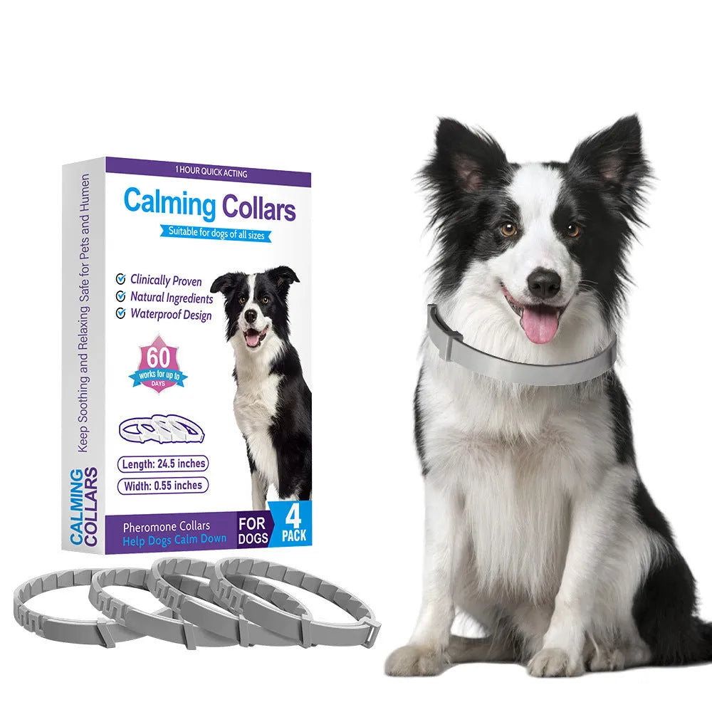 Four monochrome dog collars in different colours with Chinese-style design