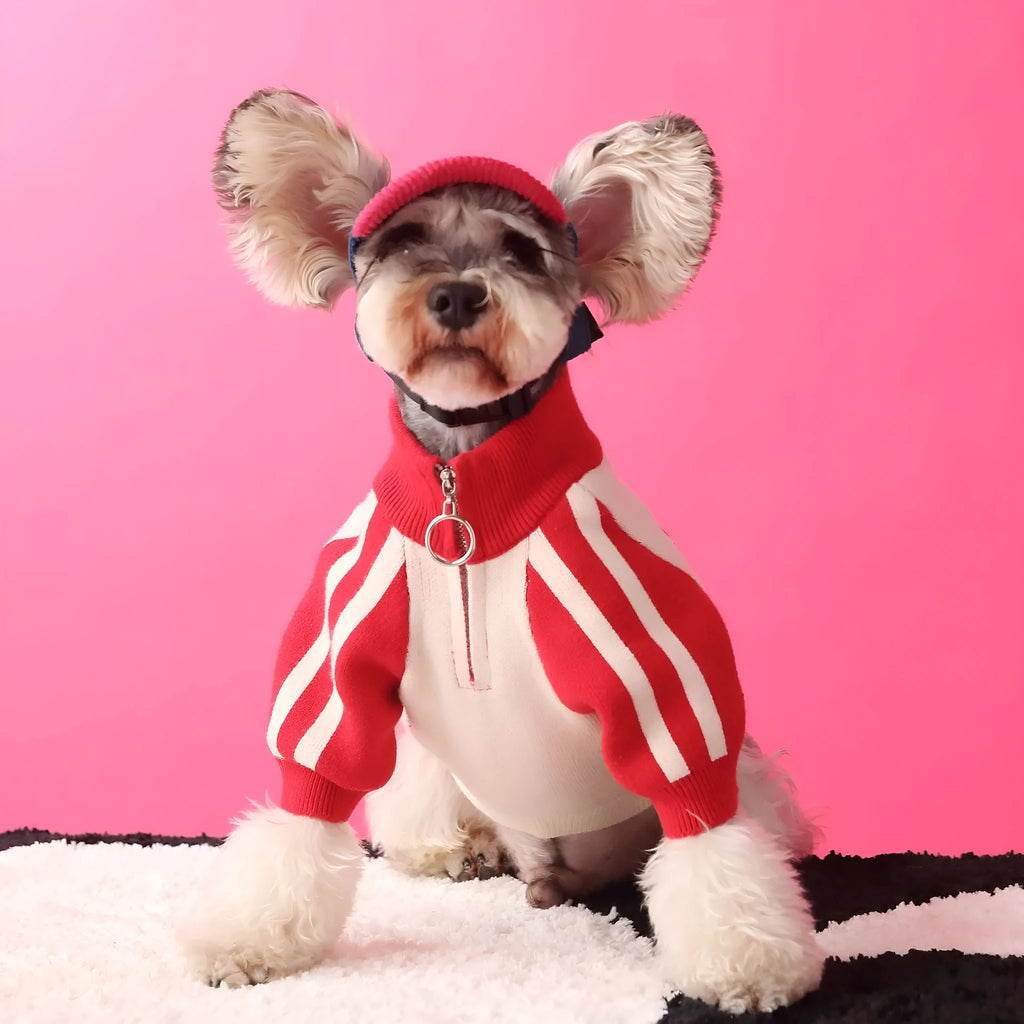 Red wool blend sports cardigan for male puppy dog on mannequin