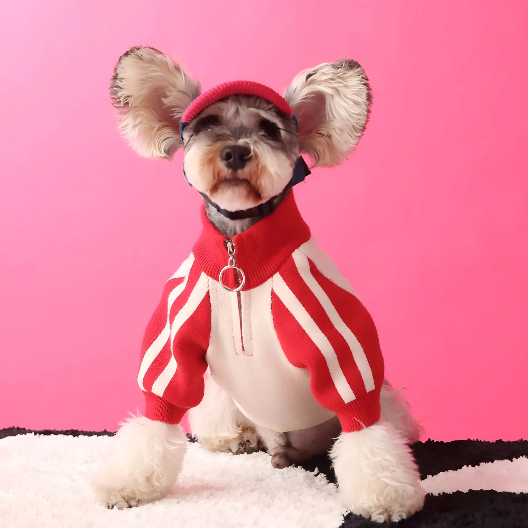 Red wool blend sports cardigan for male puppy dog on mannequin