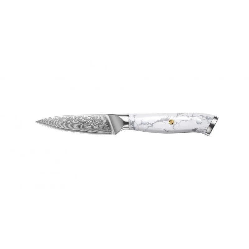 Damascus Special Household Combined Chef's Knife with 21cm VG10 steel blade and modern handle.