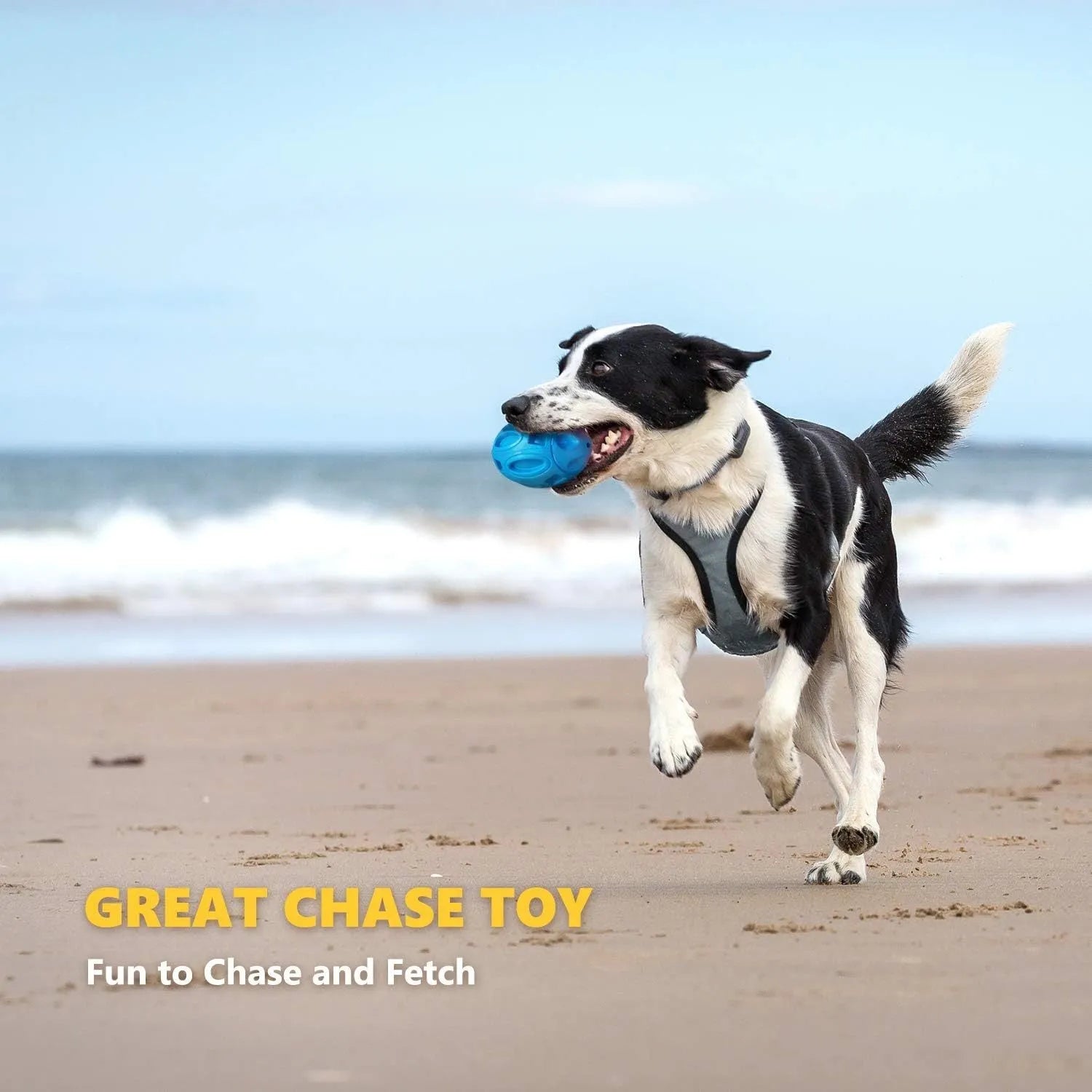 Natural rubber squeaky dog chew ball with textured surface grooves in blue, green, or orange colours