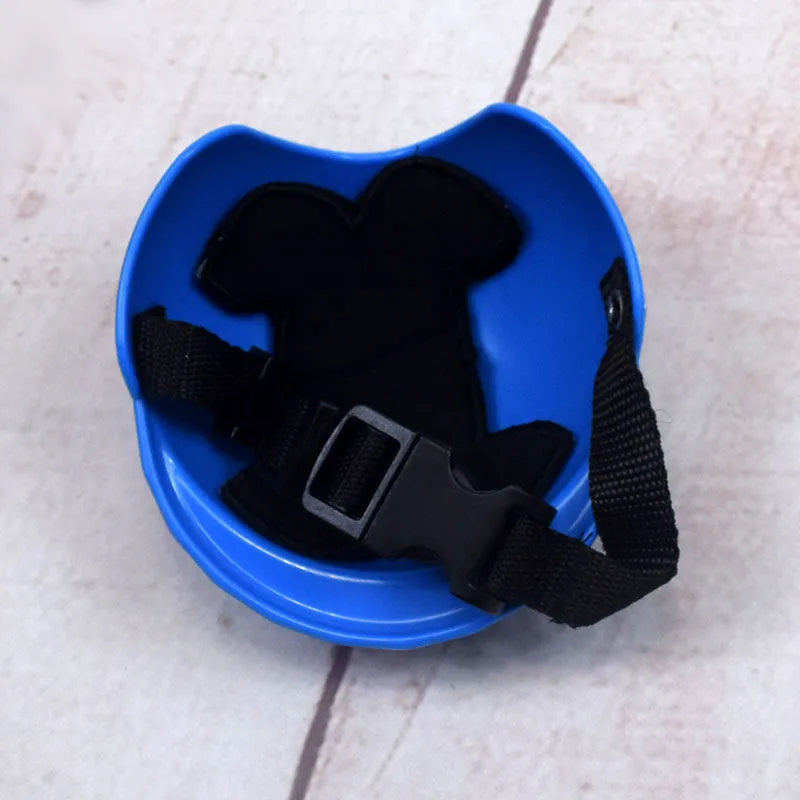 A small dog wearing a solid-colour plastic motorcycle cap helmet on its head.