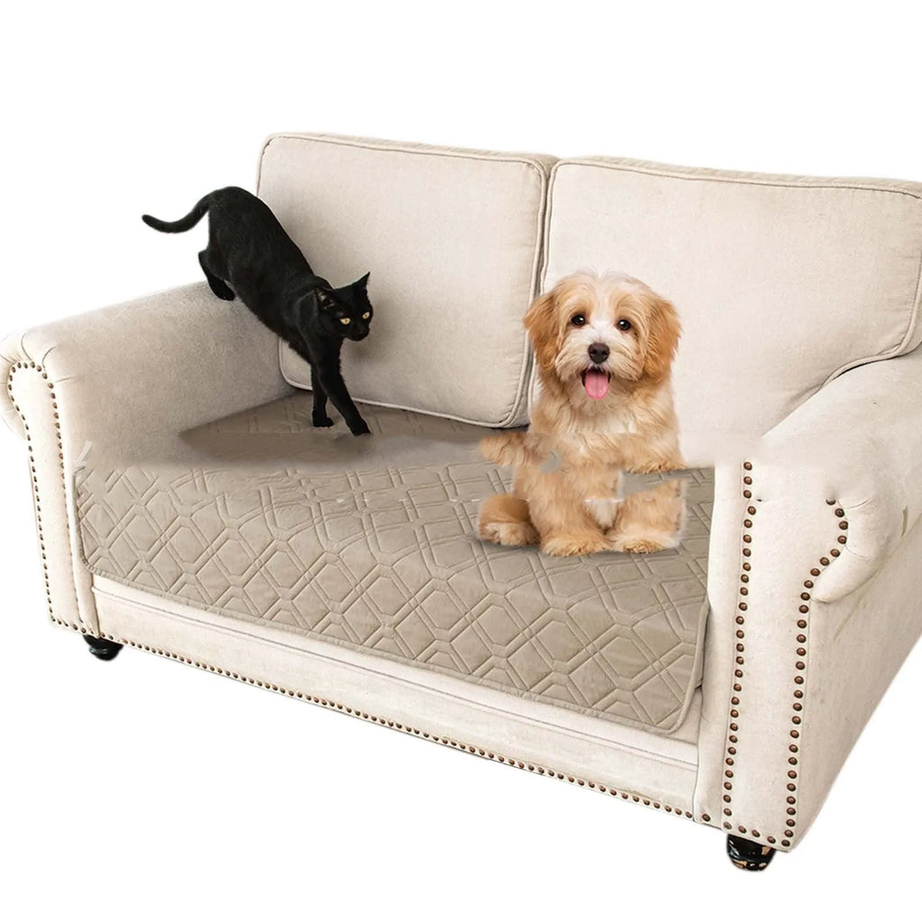 Double-sided waterproof pet sofa cushion showing reversible contrast colours in two colour options