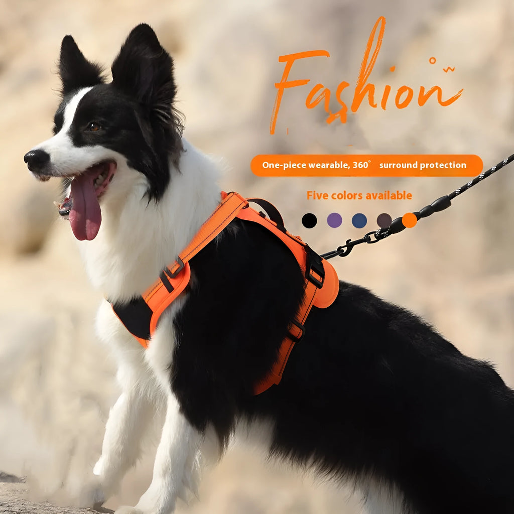 Orange reflective dog harness vest with integrated black hand-holding rope, shown on a dog.