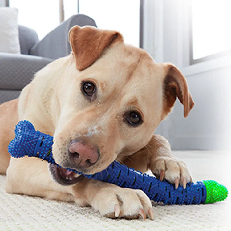Blue-green silicone dog tooth cleaning stick with brush hair core measuring 25cm long