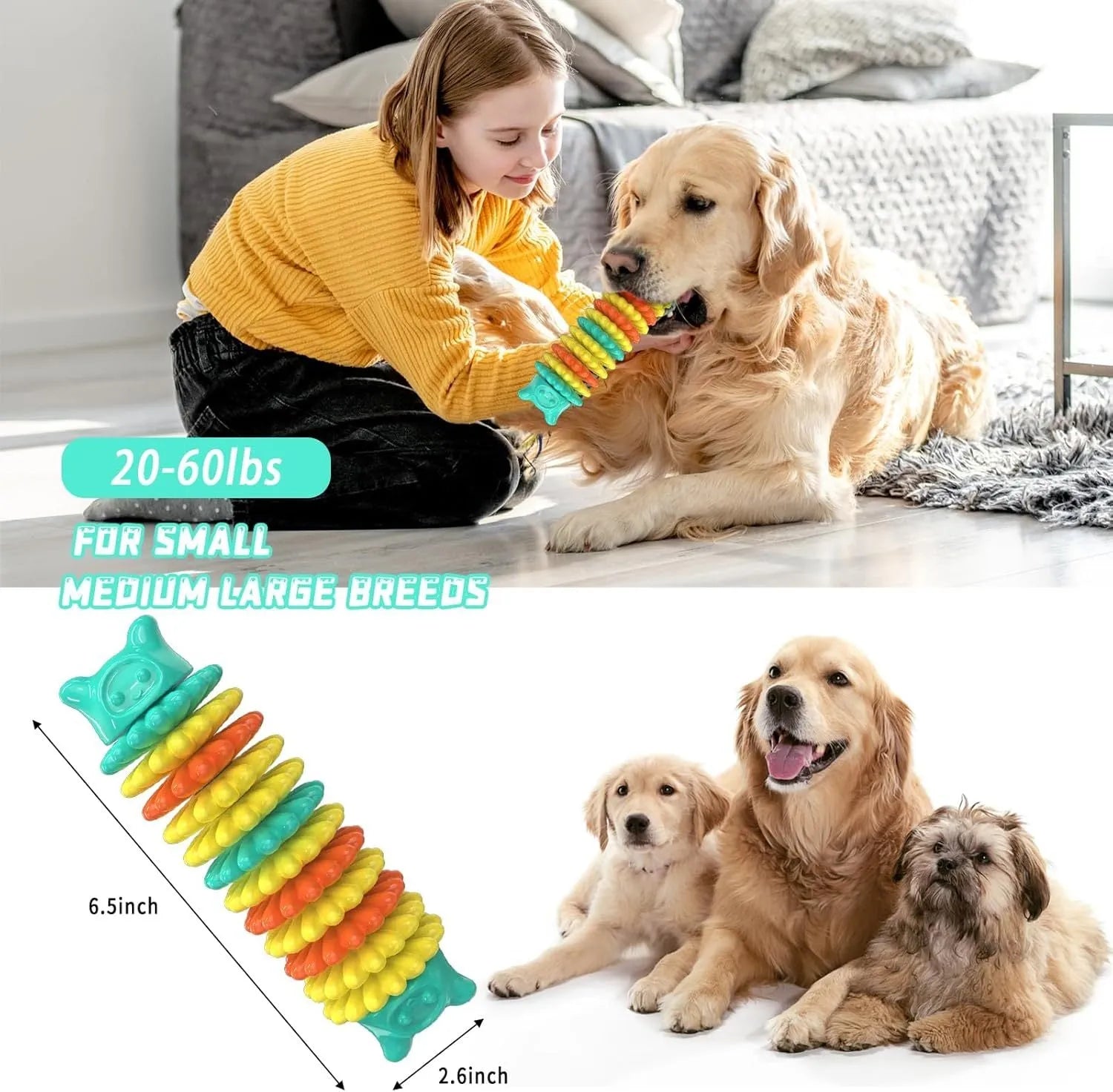 Blue caterpillar-shaped dog chew toy made from natural rubber for aggressive chewers
