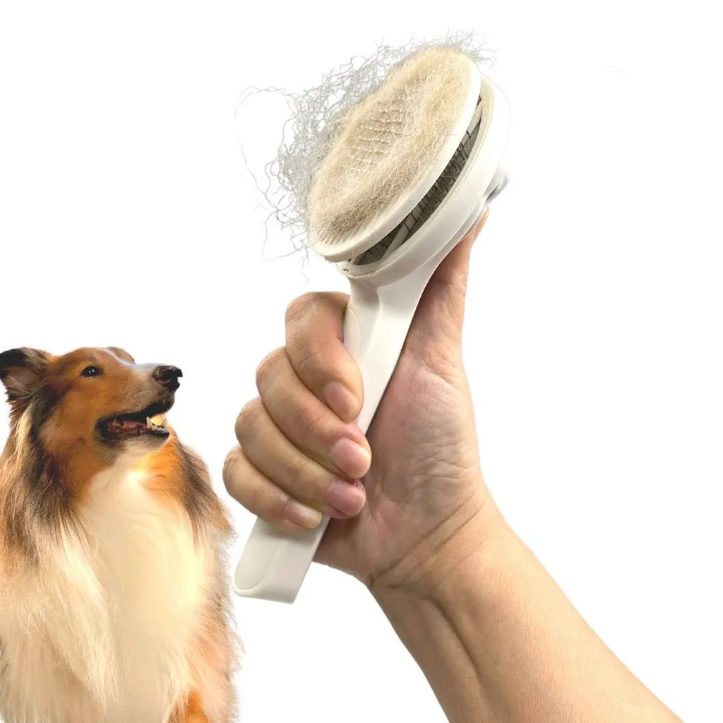 Blue self-cleaning slicker brush for dog and cat grooming on a white background